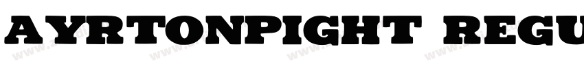 Ayrtonpight Regular字体转换
